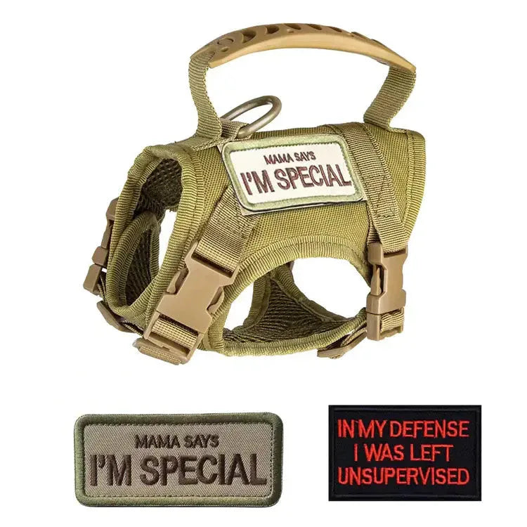 Adjustable Tactical Cat Harness - PetStars.Store