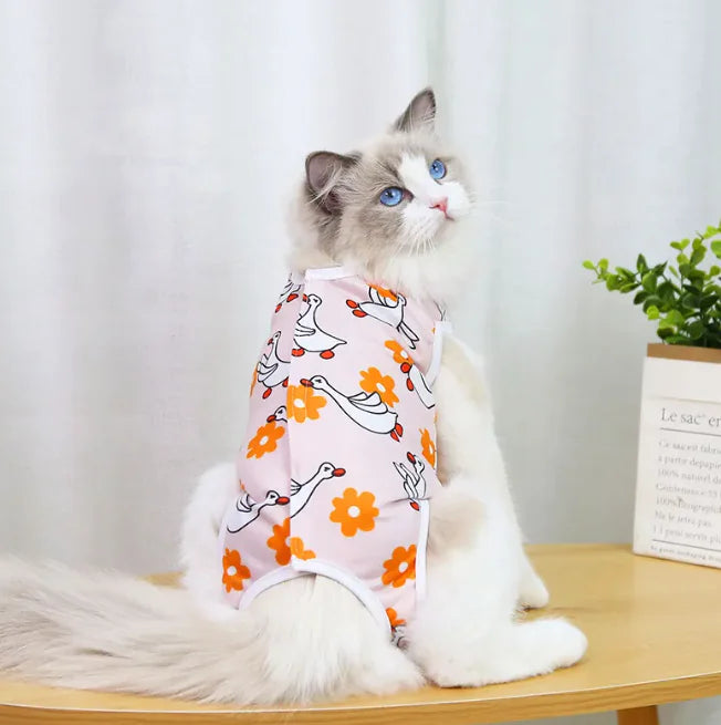 Spay & Neuter Recovery Wear
