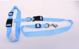 Running & Jogging Hands-Free Dog Lead Blue 2.5*110 Centimeter