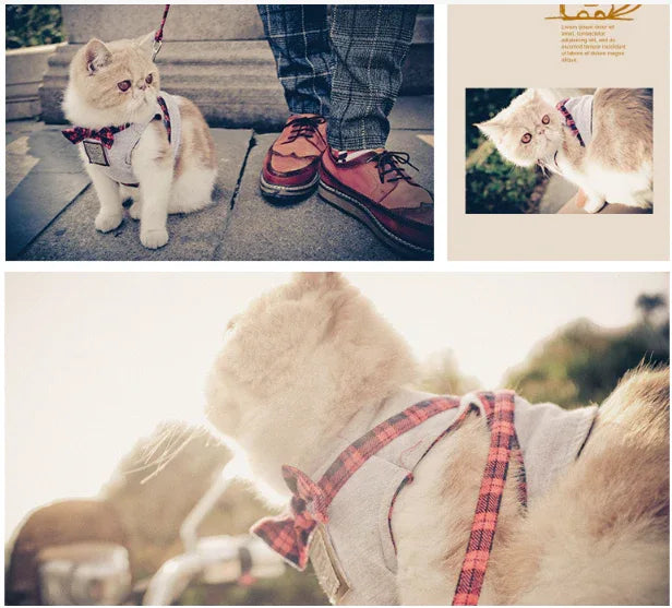 Harness and Leash Set - PetStars.Store