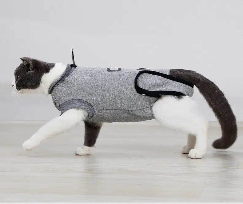 Post-Surgery Recovery Suit - PetStars.Store
