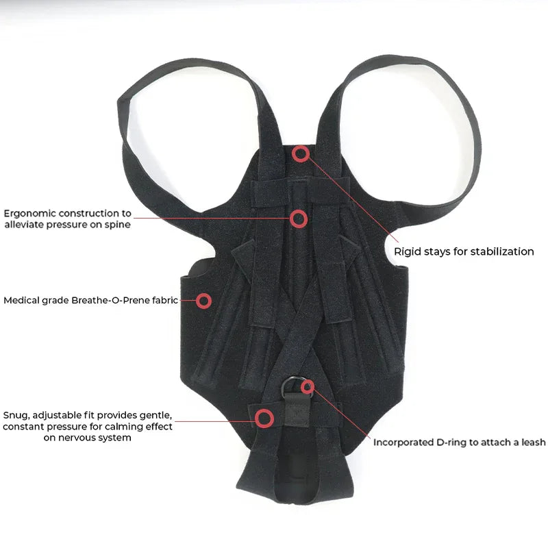 Dog Back Brace
