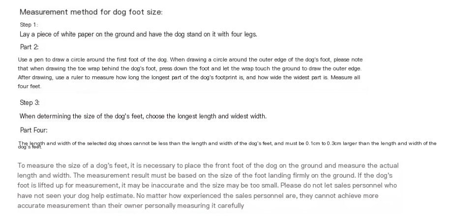 Star Canvas Dog Shoes