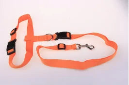 Running & Jogging Hands-Free Dog Lead