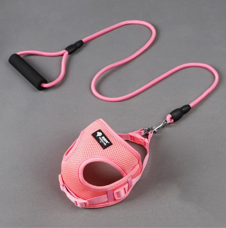 Dog Leash and Collar Combo for Pets