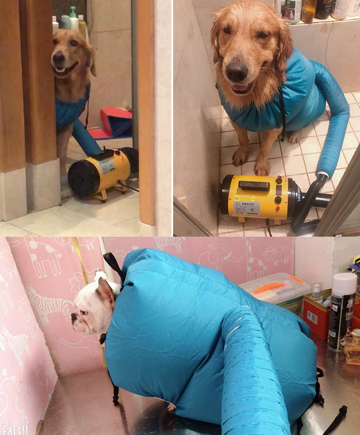 Pet Drying System