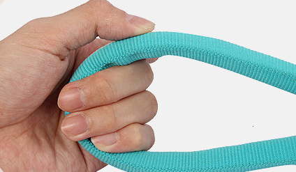 Integrated Collar & Leash