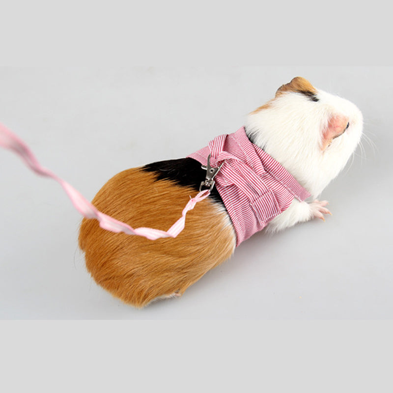Pet Adventure Harness & Lead