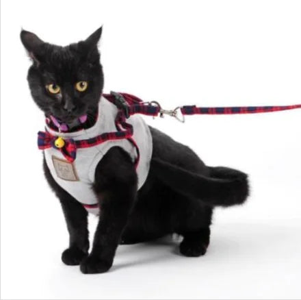 Harness and Leash Set