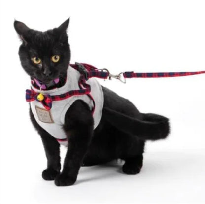 Harness and Leash Set