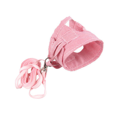 Pet Adventure Harness & Lead