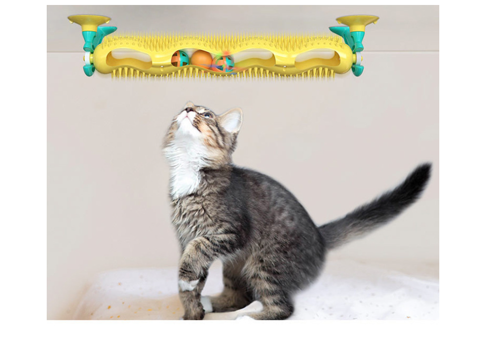 Orbit Ball Puzzle Toy