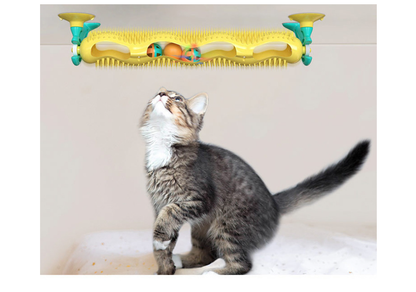 Orbit Ball Puzzle Toy