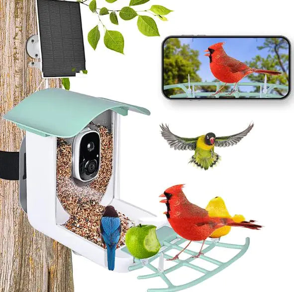 Solar-Powered Waterproof Bird Feeder with Camera & App