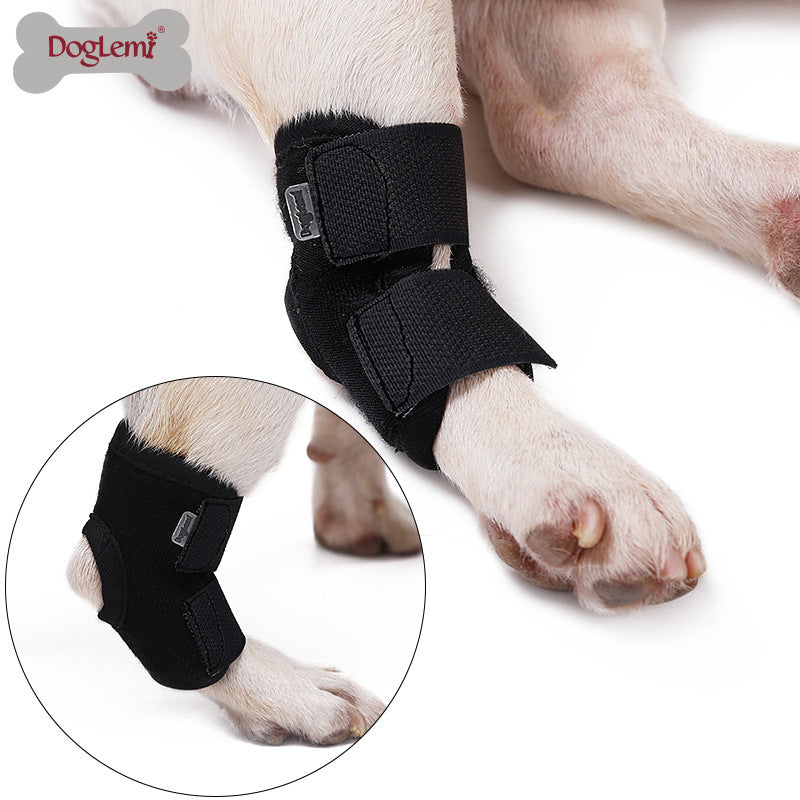 Anti-Lick Recovery Strap