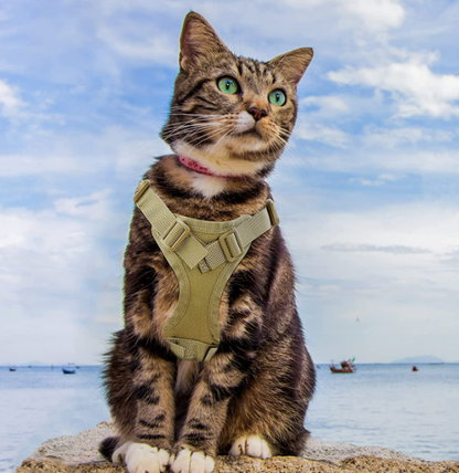 Adjustable Tactical Cat Harness