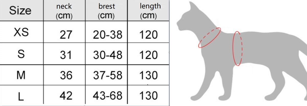 Cat Harness & Lead Set