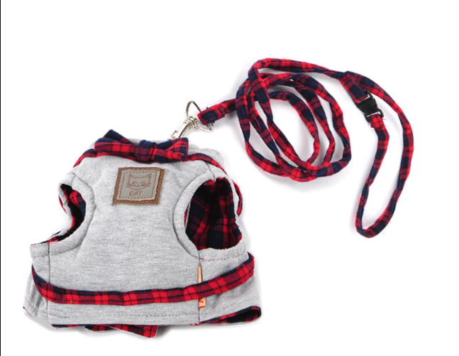 Harness and Leash Set