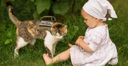 Adjustable Tactical Cat Harness