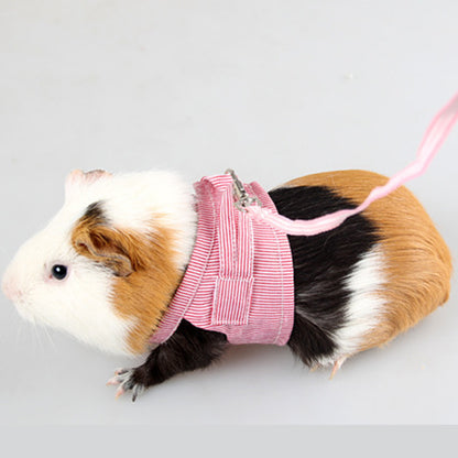 Pet Adventure Harness & Lead