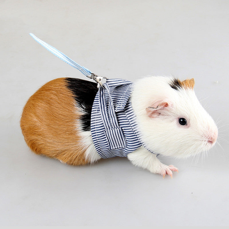 Pet Adventure Harness & Lead