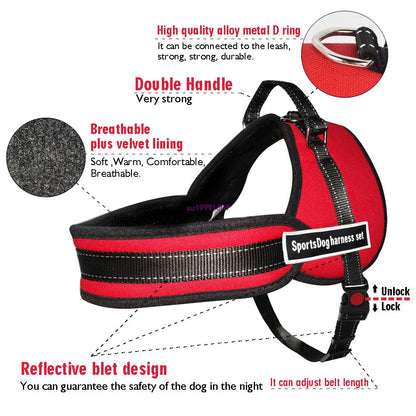 "Sport Dog Harness with Chest Strap and Leash"