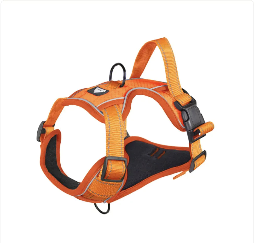 Reflective Dog Harness - Various Sizes Orange Large