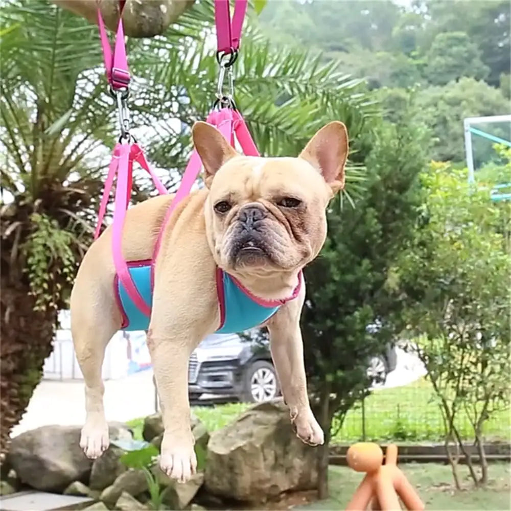 Grooming Hammock with Trimming Kit