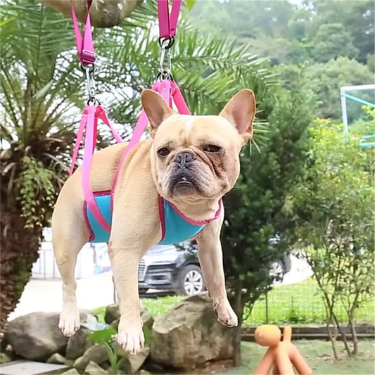 Grooming Hammock with Trimming Kit