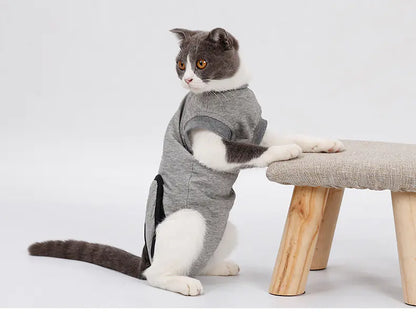 Post-Surgery Recovery Suit for Spaying and Weaning