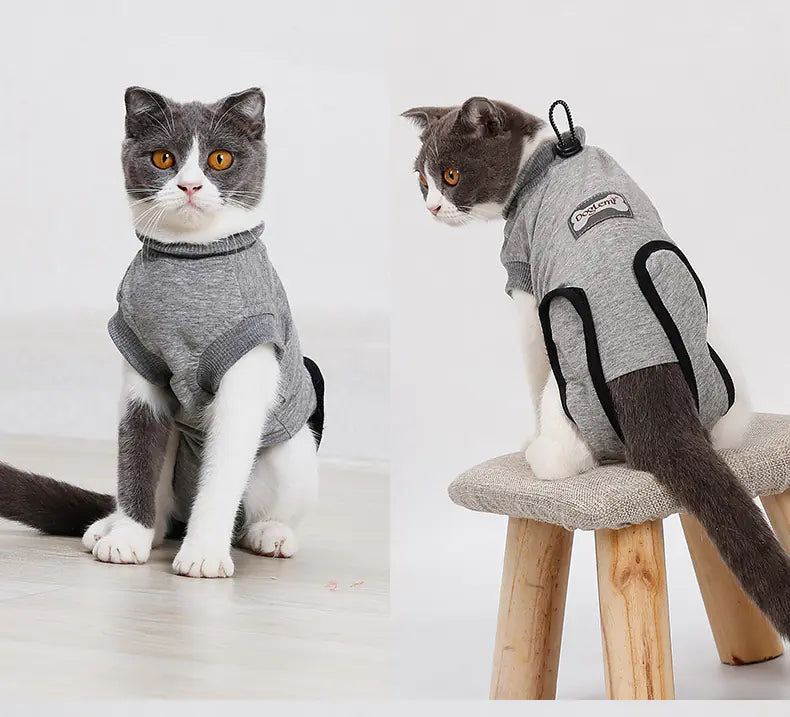 Post-Surgery Recovery Suit for Spaying and Weaning