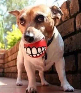 Fun Dental Teeth Ball