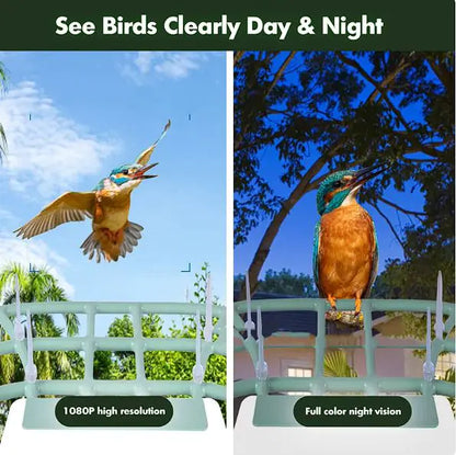 Solar-Powered Waterproof Bird Feeder with Camera & App