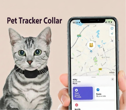 Cat Tracker Collar