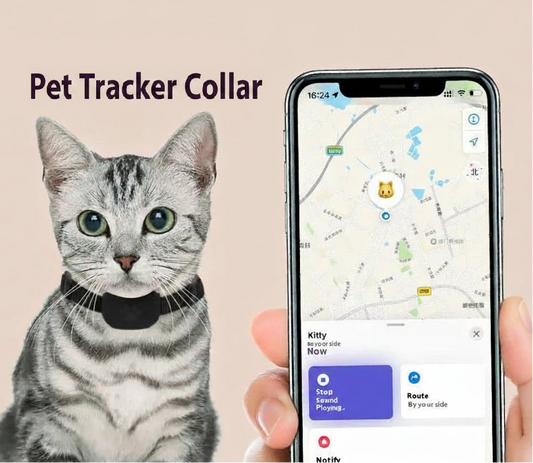 Cat Tracker Collar