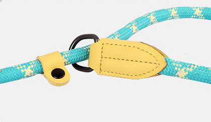 Integrated Collar & Leash
