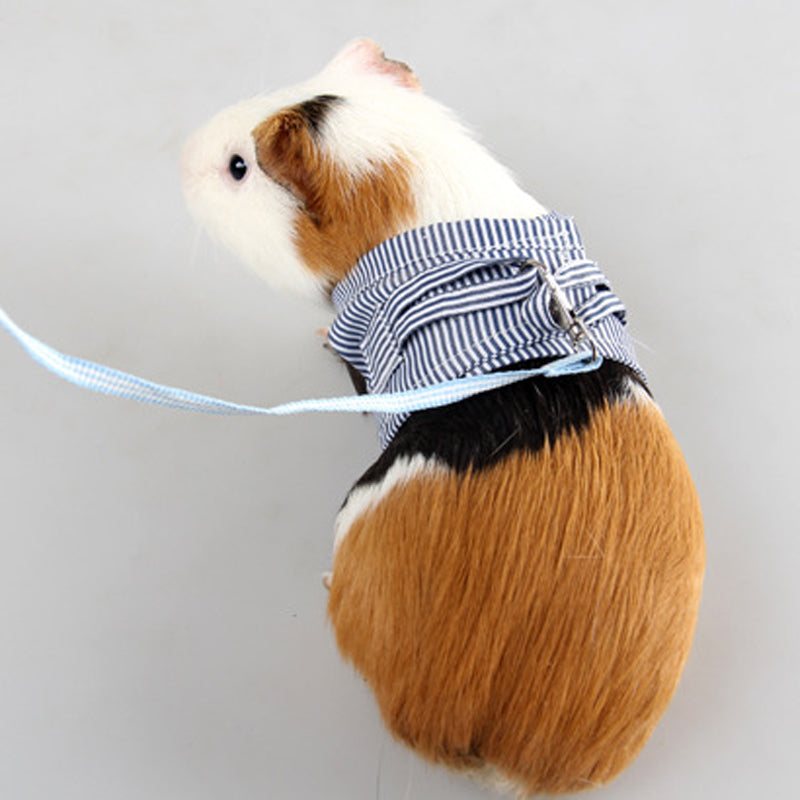 Pet Adventure Harness & Lead