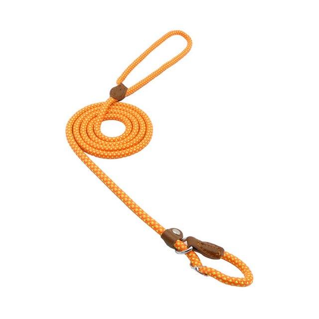 Nylon Pup Set Orange M