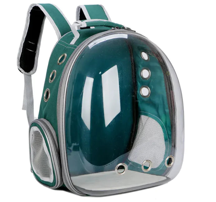 Green pet carrier with grey trim showing the green with grey trim interior through the clear dome, shown on a white background