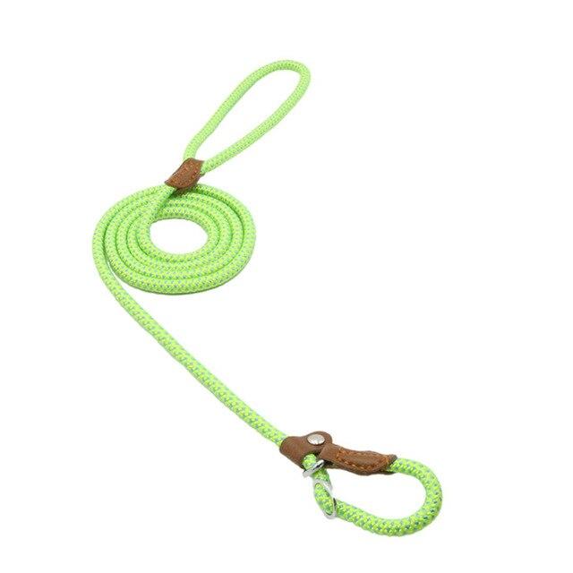 Nylon Pup Set Green S