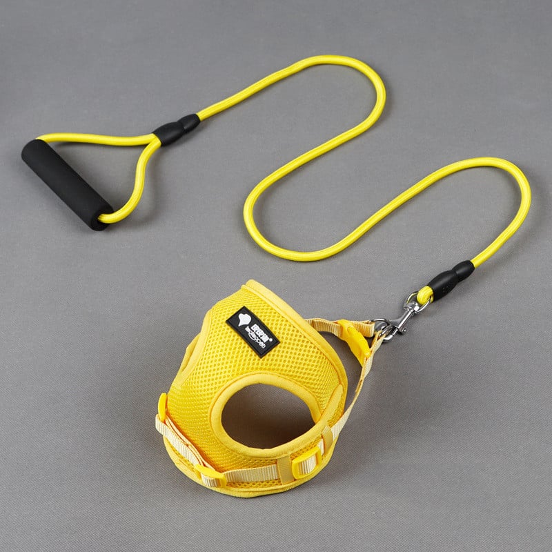 Dog Leash and Collar Combo for Pets