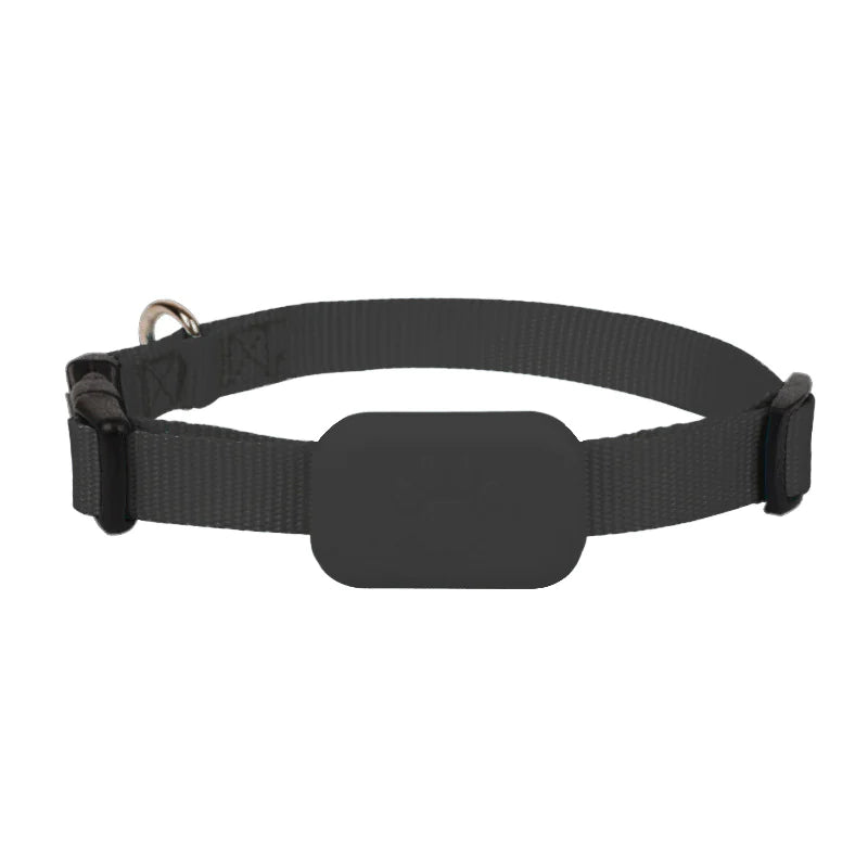Bluetooth FindMyPet Tracker Collar