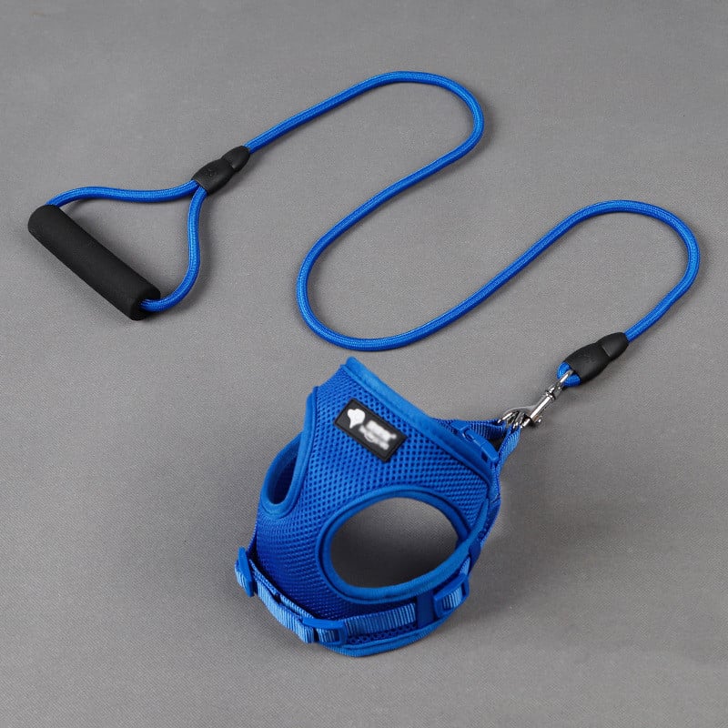 Dog Leash and Collar Combo for Pets