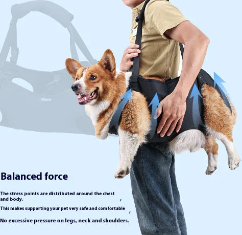 Dog Injury Travel Carrier