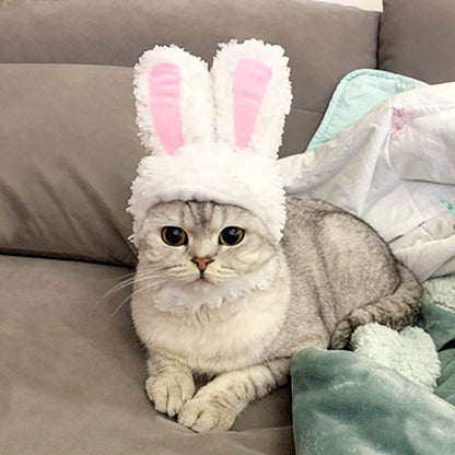 Transformed Rabbit Ears Pet Headdress for Costumes