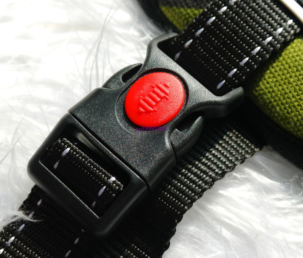 "Sport Dog Harness with Chest Strap and Leash"