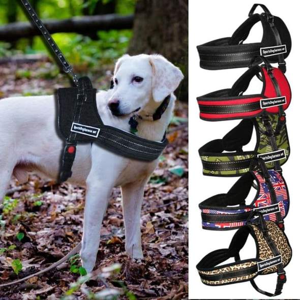 "Sport Dog Harness with Chest Strap and Leash"