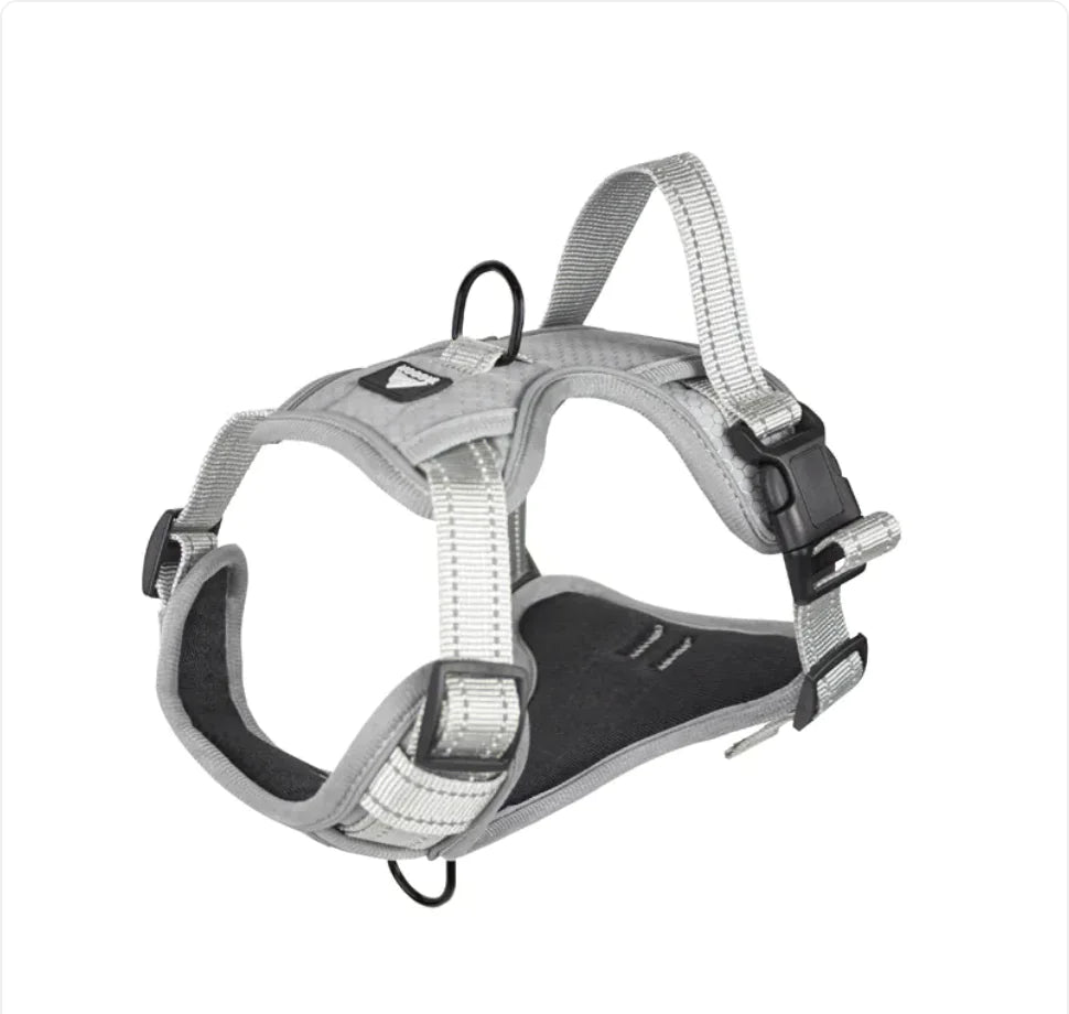 Reflective Dog Harness - Various Sizes Silver Large