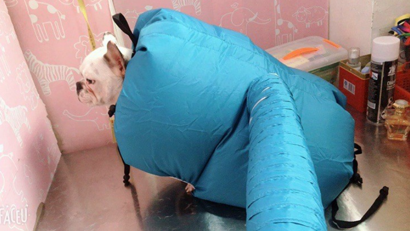Pet Drying System