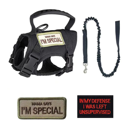 Adjustable Tactical Cat Harness